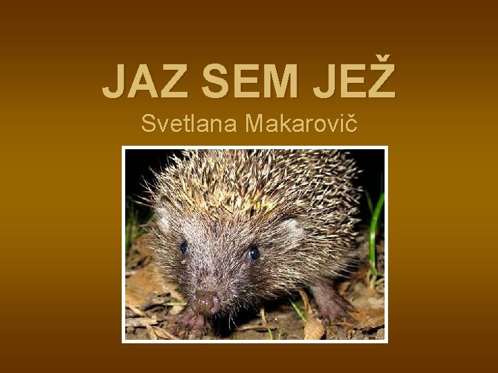 JAZ SEM JEŽ Svetlana Makarovič 