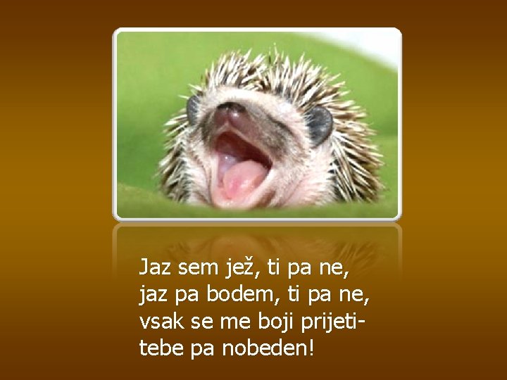 Jaz sem jež, ti pa ne, jaz pa bodem, ti pa ne, vsak se