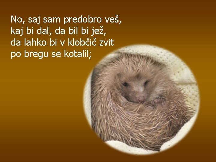 No, saj sam predobro veš, kaj bi dal, da bil bi jež, da lahko