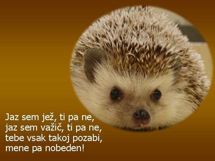 Jaz sem jež, ti pa ne, jaz sem važič, ti pa ne, tebe vsak