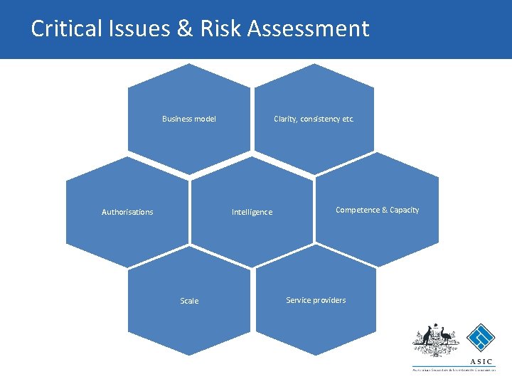 Critical Issues & Risk Assessment Business model Clarity, consistency etc. Intelligence Authorisations Scale Competence