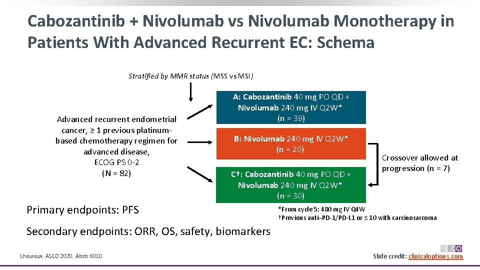 Cabozantinib + Nivolumab vs Nivolumab Monotherapy in Patients With Advanced Recurrent EC: Schema Stratified
