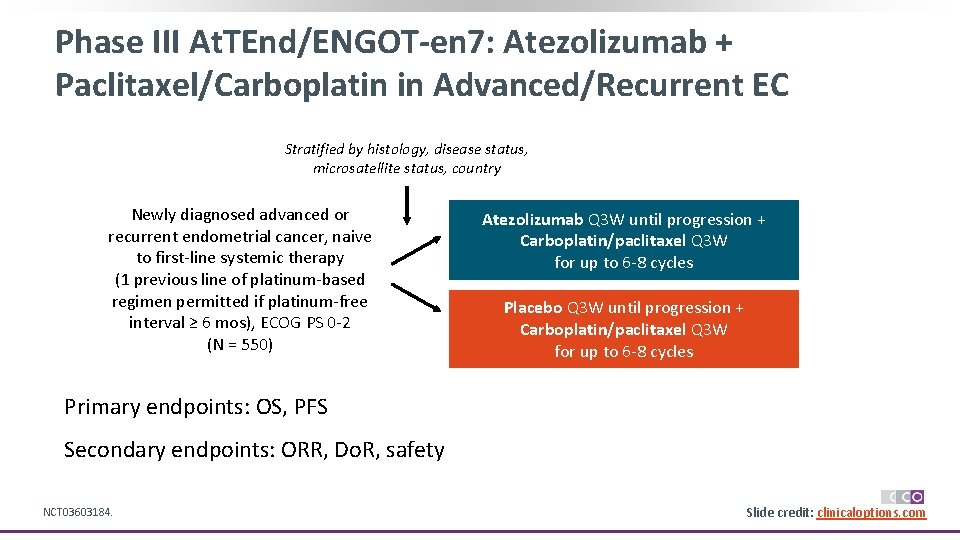 Phase III At. TEnd/ENGOT-en 7: Atezolizumab + Paclitaxel/Carboplatin in Advanced/Recurrent EC Stratified by histology,