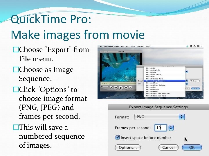 Quick. Time Pro: Make images from movie �Choose “Export” from File menu. �Choose as