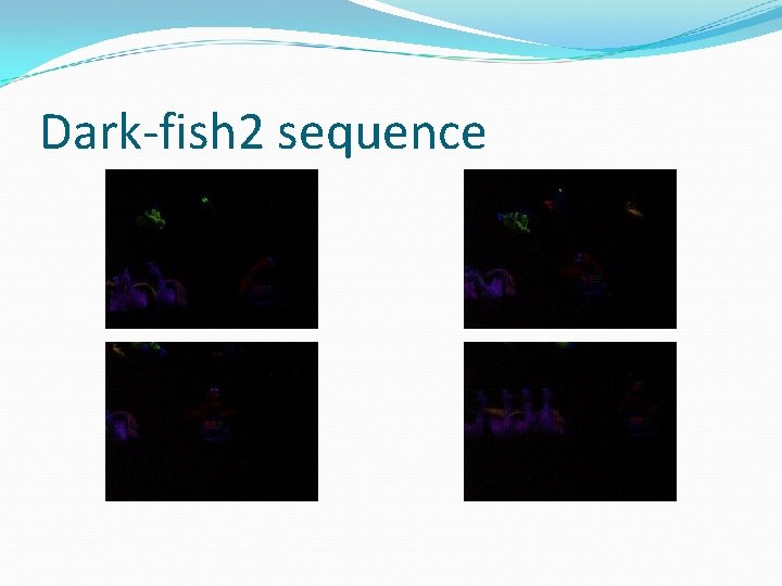 Dark-fish 2 sequence 