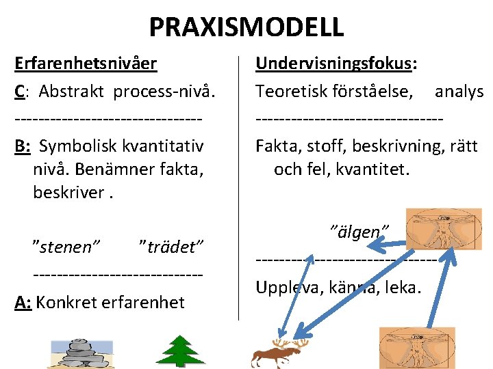 PRAXISMODELL Erfarenhetsnivåer C: Abstrakt process-nivå. ----------------B: Symbolisk kvantitativ nivå. Benämner fakta, beskriver. ”stenen” ”trädet”