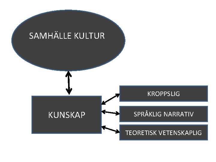 SAMHÄLLE KULTUR KROPPSLIG KUNSKAP SPRÅKLIG NARRATIV TEORETISK VETENSKAPLIG 