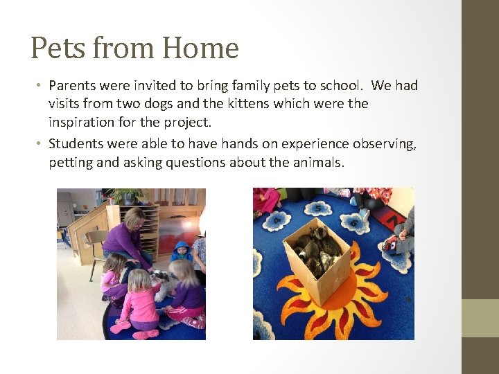 Pets from Home • Parents were invited to bring family pets to school. We