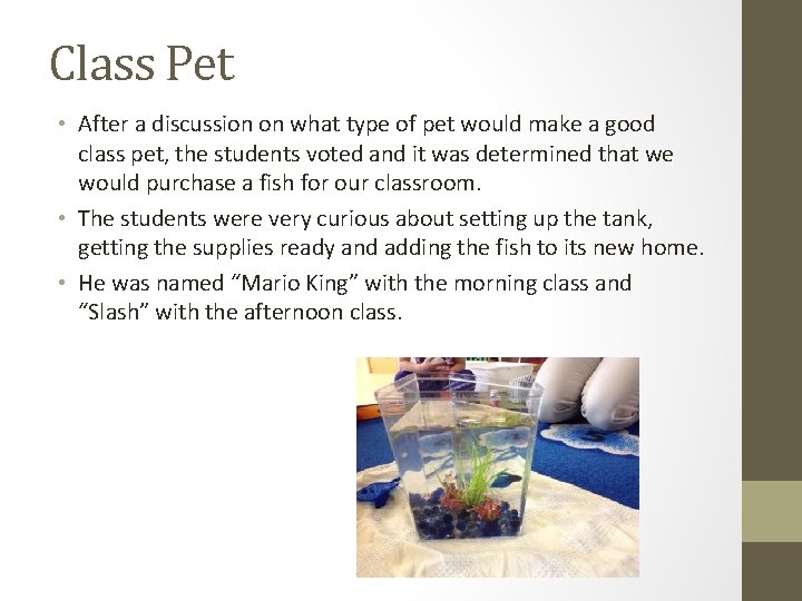 Class Pet • After a discussion on what type of pet would make a