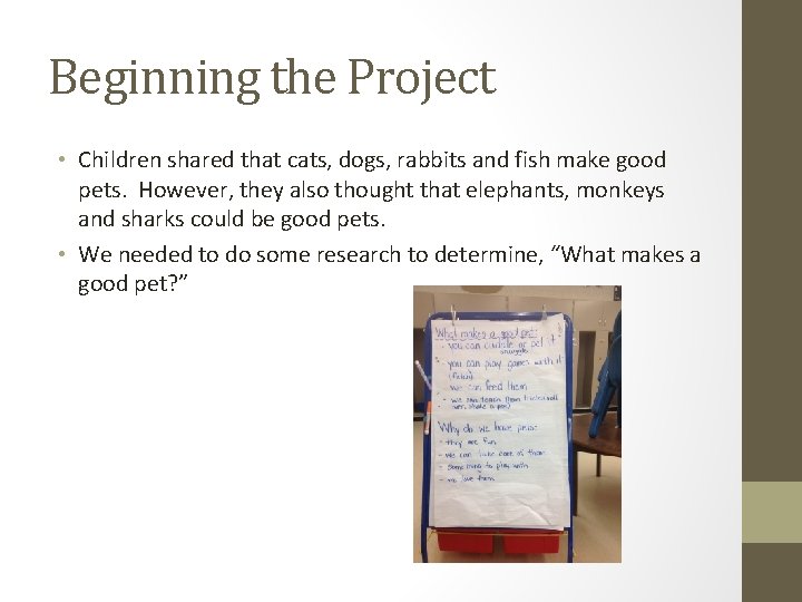 Beginning the Project • Children shared that cats, dogs, rabbits and fish make good