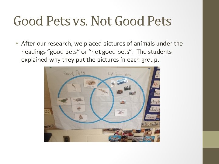 Good Pets vs. Not Good Pets • After our research, we placed pictures of