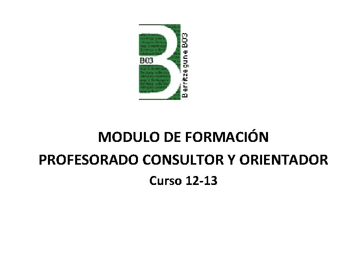 MODULO DE FORMACIÓN PROFESORADO CONSULTOR Y ORIENTADOR Curso 12 -13 