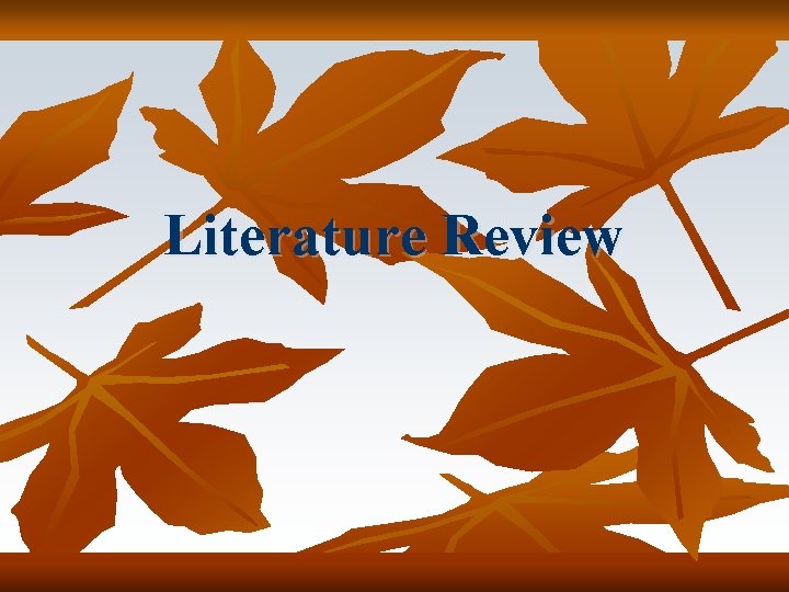 Literature Review Literature Review
