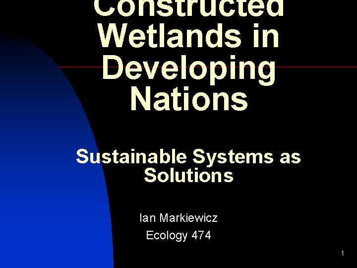 Constructed Wetlands in Developing Nations Sustainable Systems as Solutions Ian Markiewicz Ecology 474 1