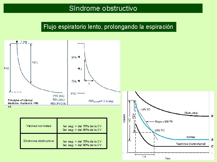 Síndrome obstructivo Flujo espiratorio lento, prolongando la espiración Principles of Internal Medicine. Harrison’s 14 Síndrome obstructivo Flujo espiratorio lento, prolongando la espiración Principles of Internal Medicine. Harrison’s 14