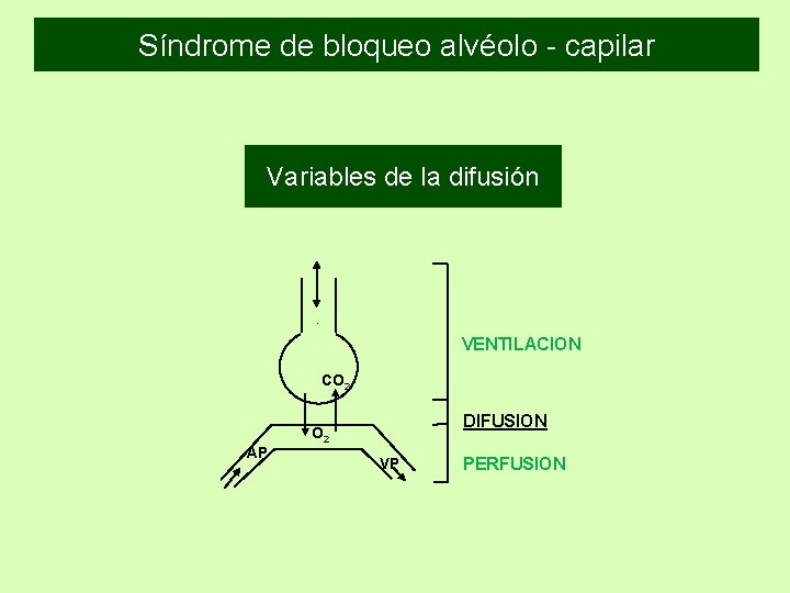 Síndrome de bloqueo alvéolo - capilar Variables de la difusión VENTILACION CO 2 DIFUSION Síndrome de bloqueo alvéolo - capilar Variables de la difusión VENTILACION CO 2 DIFUSION