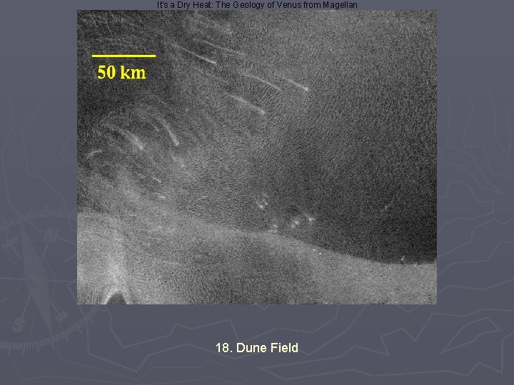 It's a Dry Heat: The Geology of Venus from Magellan 18. Dune Field 