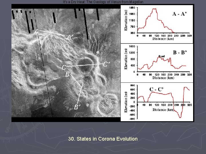 It's a Dry Heat: The Geology of Venus from Magellan 30. States in Corona