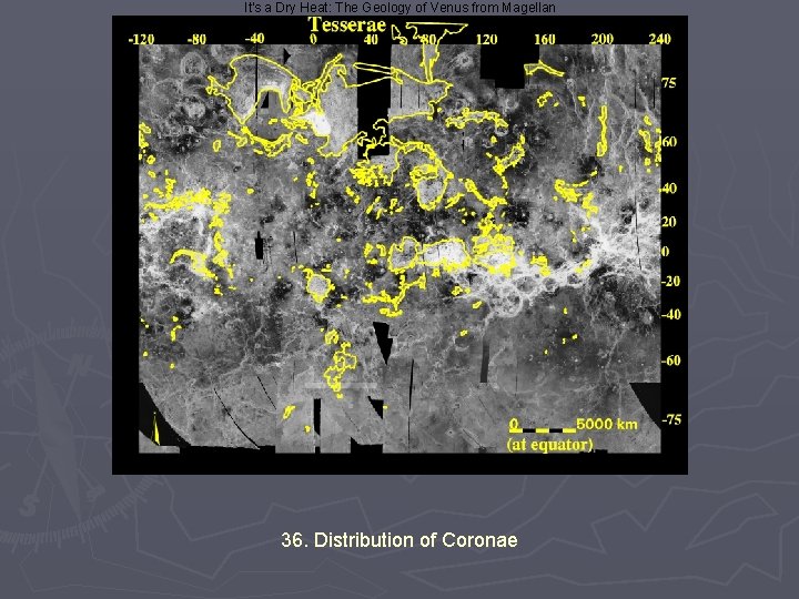 It's a Dry Heat: The Geology of Venus from Magellan 36. Distribution of Coronae