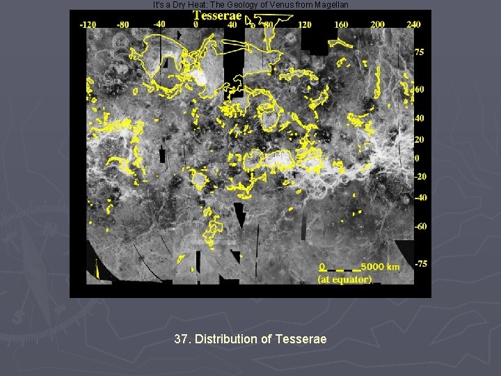 It's a Dry Heat: The Geology of Venus from Magellan 37. Distribution of Tesserae