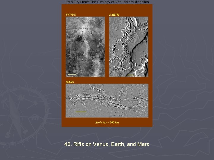 It's a Dry Heat: The Geology of Venus from Magellan 40. Rifts on Venus,