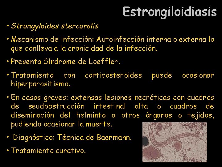 Estrongiloidiasis • Strongyloides stercoralis • Mecanismo de infección: Autoinfección interna o externa lo que