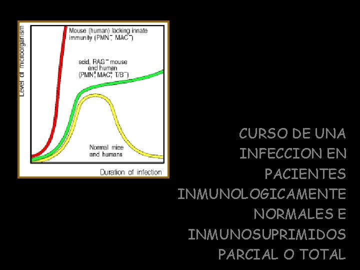 CURSO DE UNA INFECCION EN PACIENTES INMUNOLOGICAMENTE NORMALES E INMUNOSUPRIMIDOS PARCIAL O TOTAL 