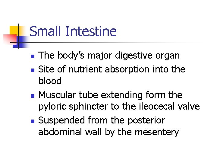 Small Intestine n n The body’s major digestive organ Site of nutrient absorption into