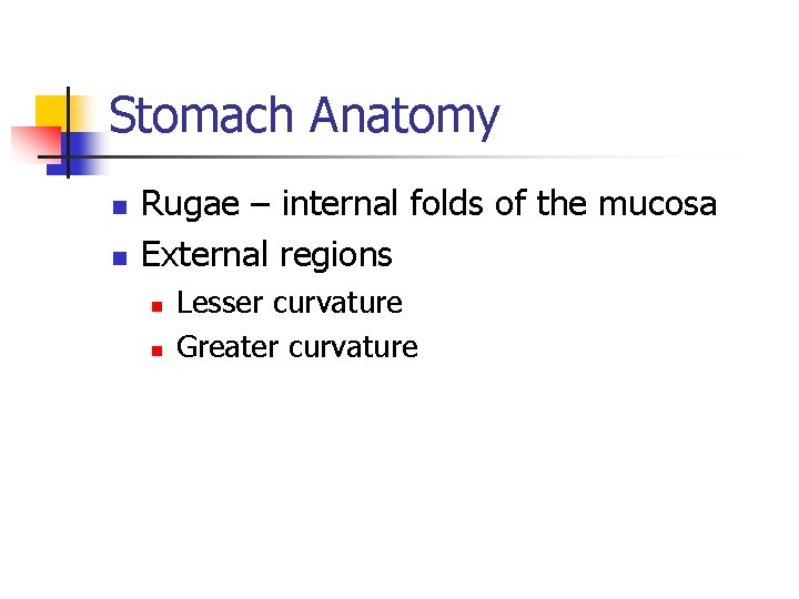 Stomach Anatomy n n Rugae – internal folds of the mucosa External regions n