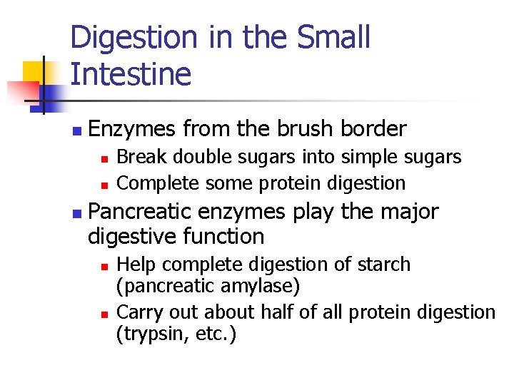 Digestion in the Small Intestine n Enzymes from the brush border n n n