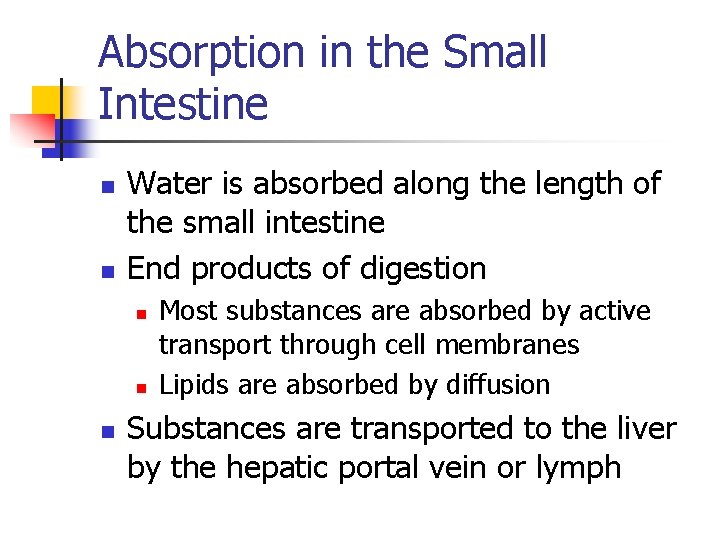 Absorption in the Small Intestine n n Water is absorbed along the length of