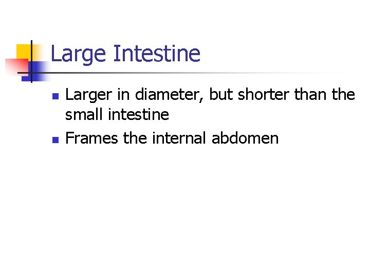 Large Intestine n n Larger in diameter, but shorter than the small intestine Frames