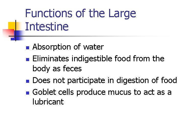 Functions of the Large Intestine n n Absorption of water Eliminates indigestible food from