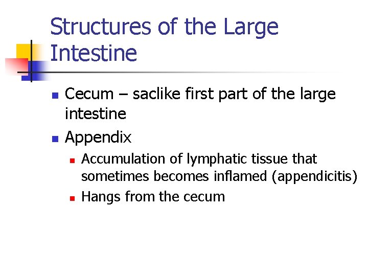 Structures of the Large Intestine n n Cecum – saclike first part of the