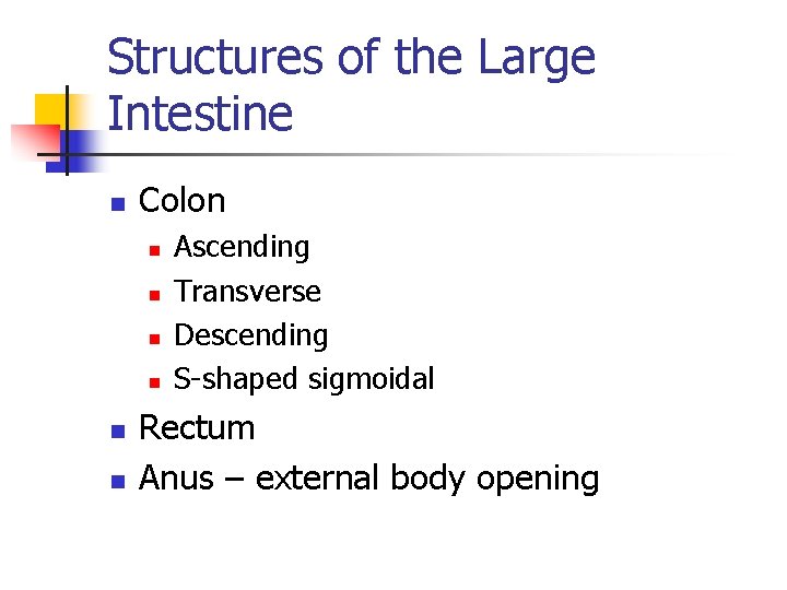 Structures of the Large Intestine n Colon n n n Ascending Transverse Descending S-shaped