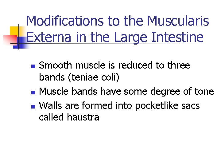 Modifications to the Muscularis Externa in the Large Intestine n n n Smooth muscle