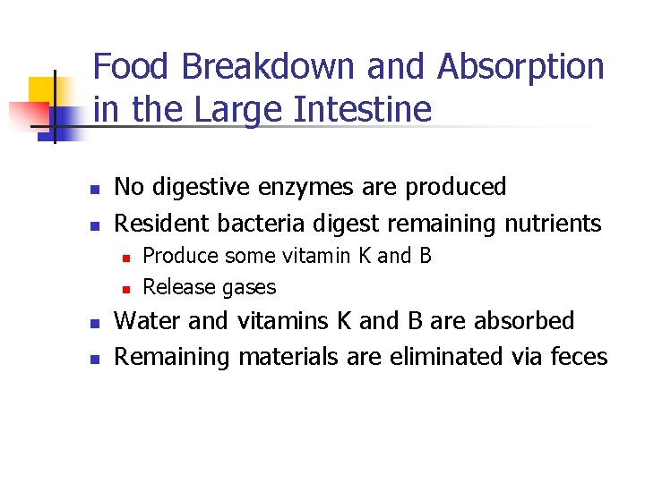 Food Breakdown and Absorption in the Large Intestine n n No digestive enzymes are