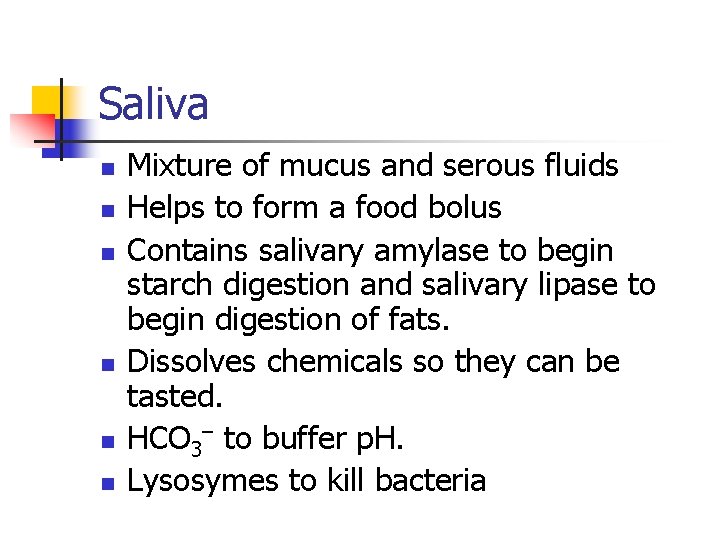 Saliva n n n Mixture of mucus and serous fluids Helps to form a