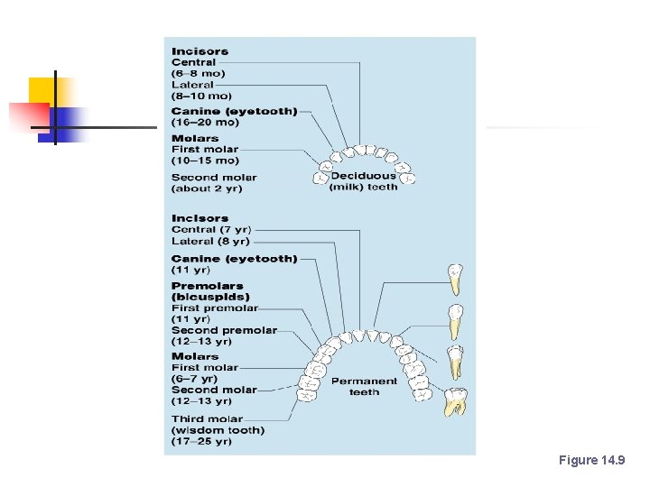 Figure 14. 9 