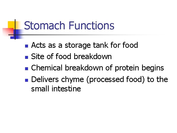 Stomach Functions n n Acts as a storage tank for food Site of food