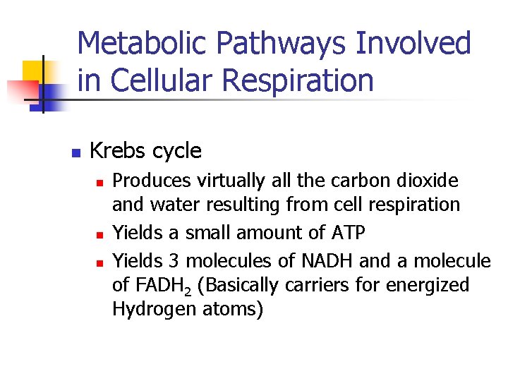 Metabolic Pathways Involved in Cellular Respiration n Krebs cycle n n n Produces virtually