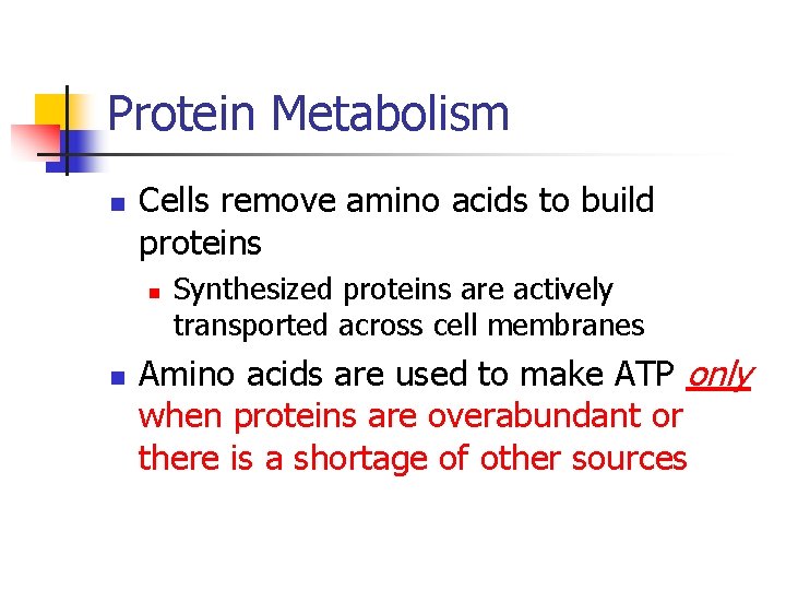 Protein Metabolism n Cells remove amino acids to build proteins n n Synthesized proteins