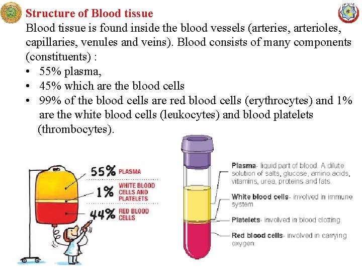 Structure of Blood tissue is found inside the blood vessels (arteries, arterioles, capillaries, venules