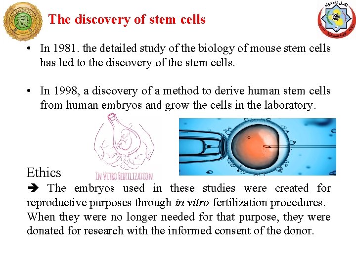The discovery of stem cells • In 1981. the detailed study of the biology