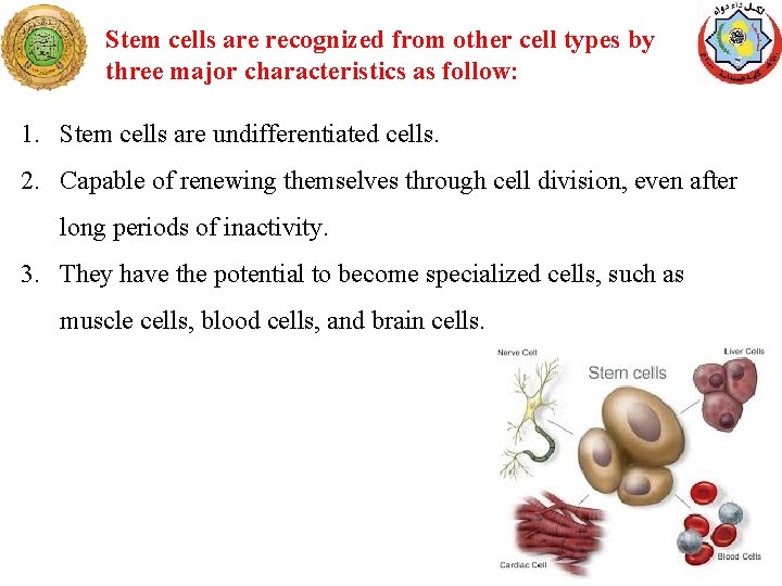 Stem cells are recognized from other cell types by three major characteristics as follow: