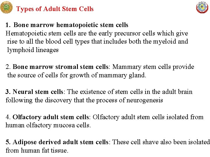 Types of Adult Stem Cells 1. Bone marrow hematopoietic stem cells Hematopoietic stem cells