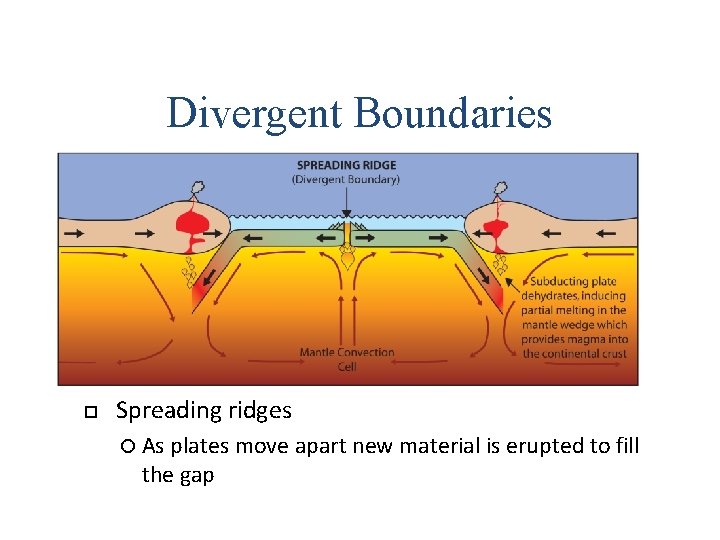 Divergent Boundaries Spreading ridges As plates move apart new material is erupted to fill Divergent Boundaries Spreading ridges As plates move apart new material is erupted to fill