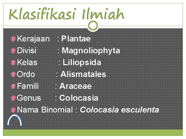 Klasifikasi Ilmiah Kerajaan : Plantae Divisi : Magnoliophyta Kelas : Liliopsida Ordo : Alismatales