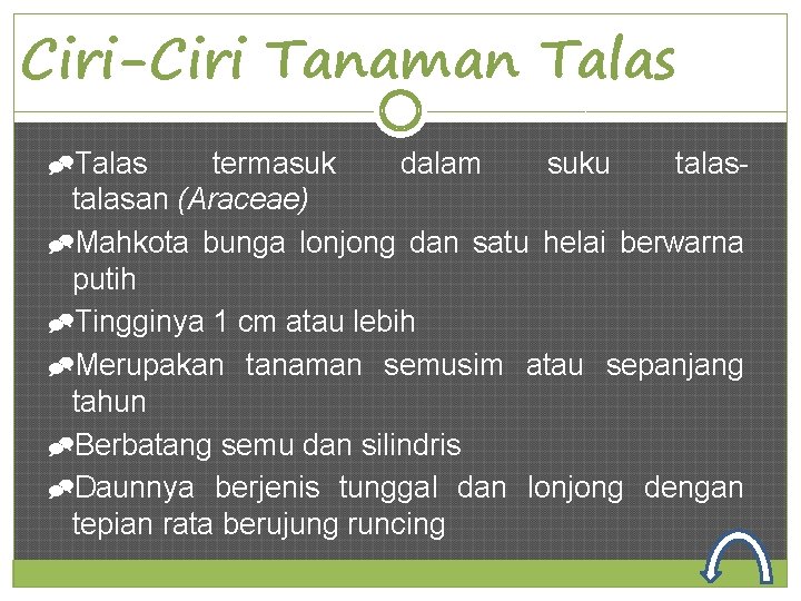 Ciri-Ciri Tanaman Talas termasuk dalam suku talasan (Araceae) Mahkota bunga lonjong dan satu helai