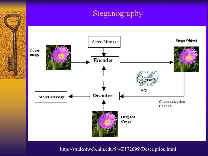 Steganography http: //studentweb. niu. edu/9/~Z 172699/Description. html 